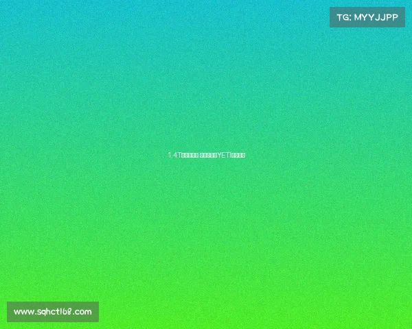 1.4T前行版更值 全新斯柯达YETI购车手册