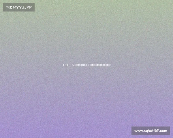 1.5T_1.5L双动力可选 配备L2驾驶辅助 全新现代悦纳印度首发