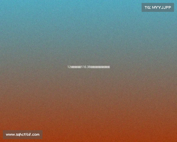 12条轨道交通线，116.38平方公里，郑州经开新城来了